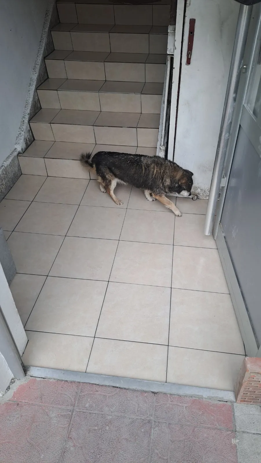 Ulaz zgrade obložen pločicama
